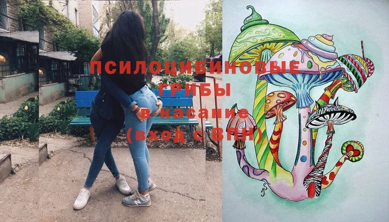 Галлюциногенные грибы Cubensis  где купить наркоту  Верхоянск 